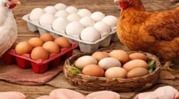 أسعار البيض اليوم في مصر: كرتونة البيض الأحمر والأبيض والبلدي تحت أنظار المستهلك